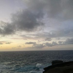 Meet your Posher, Arianna